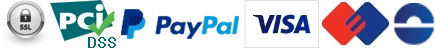 אתר מאובטח PCI-DSS